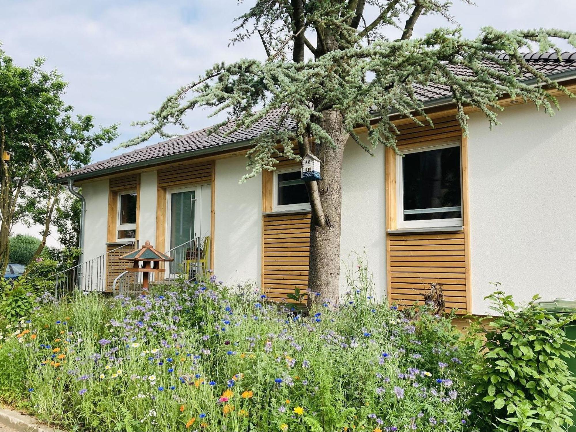 Ferienhaus Urwald Hofgeismar Zewnętrze zdjęcie